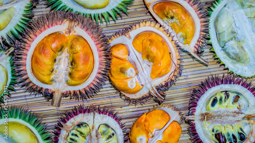 different variety of durian fruit that can be found in Borneo, Indonesia.; D. conatus, Durio kutejensis, Durio zibethinus, Durio oxleyanus, Durio dulcis photo