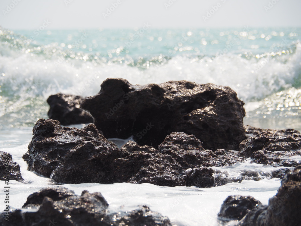 Obraz premium OLYMPUS DIGITAL CAMERA