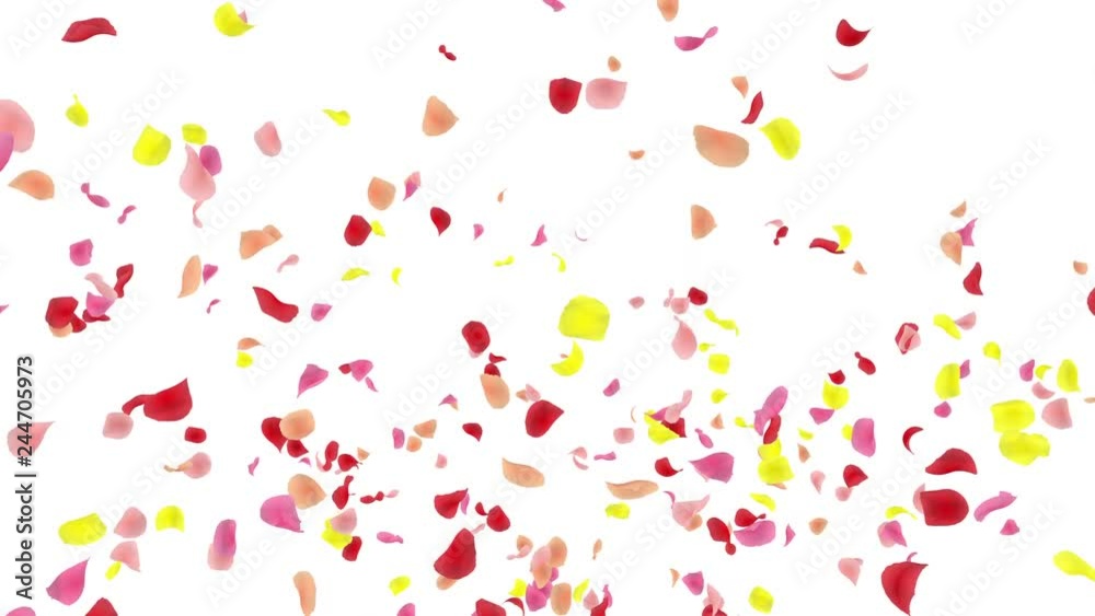 Colorful Flower Petals fluttering background Colorful Flower Petals fluttering background