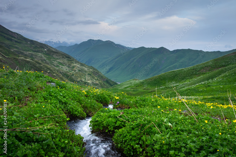 Landscape Mountain stream in highlands of Caucasus, Svaneti. Nature of mountains in Georgia.