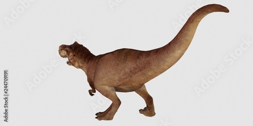 Extremely detailed and realistic high resolution 3d illustration of a T-Rex Dinosaur isolated on white Background © Sasa Kadrijevic