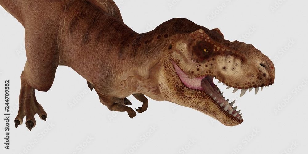 Extremely detailed and realistic high resolution 3d illustration of a T-Rex Dinosaur isolated on white Background