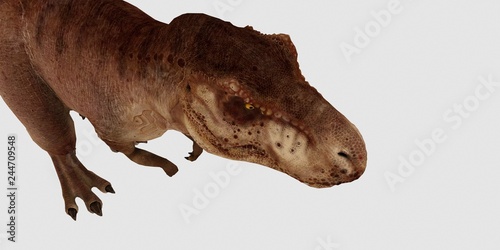 Extremely detailed and realistic high resolution 3d illustration of a T-Rex Dinosaur isolated on white Background