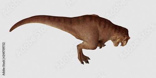 Extremely detailed and realistic high resolution 3d illustration of a T-Rex Dinosaur isolated on white Background © Sasa Kadrijevic