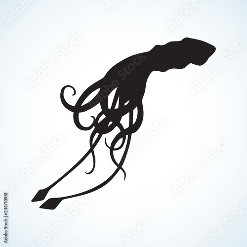 Squid. Vector drawing