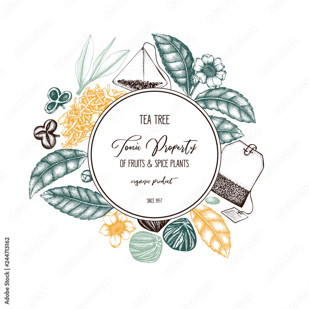 Vector design with hand drawn Chinese tea tree illustration. Decorative inking background with Camellia sinensis in flowers and leaves. Tonic plants vintage template on chalkboard.