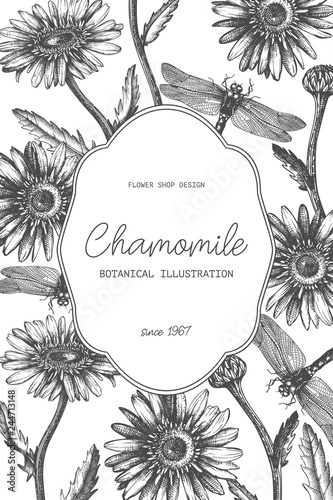 Vintage card or invitation design in the round. With hand drawn and high detailed chamomile flowers and dragonflies sketches. Floral frame for wedding decoration. Vector template on chalkboard.
