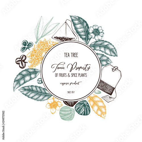 Vector design with hand drawn Chinese tea tree illustration. Decorative inking background with Camellia sinensis in flowers and leaves. Tonic plants vintage template on chalkboard.