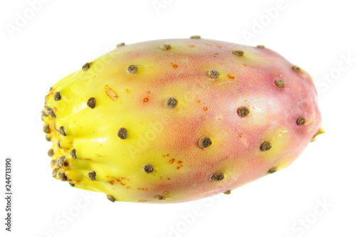 Prickly pear fruit isolated on white background