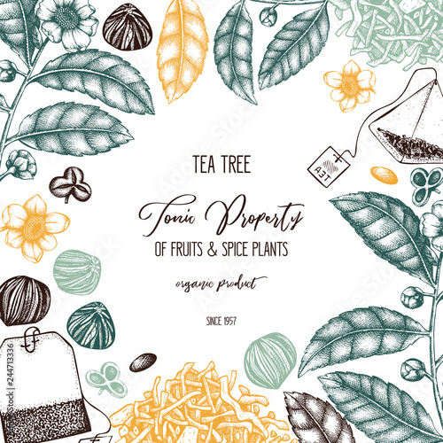Vector design with hand drawn Chinese tea tree illustration. Decorative inking background with Camellia sinensis in flowers and leaves. Tonic plants vintage template on chalkboard.