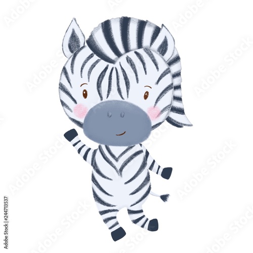 illustration of zebra
