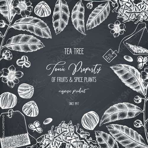 Vector design with hand drawn Chinese tea tree illustration. Decorative inking background with Camellia sinensis in flowers and leaves. Tonic plants vintage template on chalkboard.