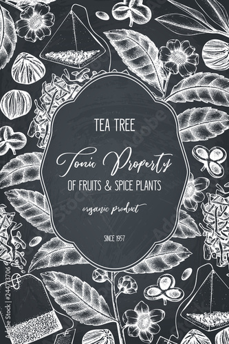 Vector design with hand drawn Chinese tea tree illustration. Decorative inking background with Camellia sinensis in flowers and leaves. Tonic plants vintage template on chalkboard.