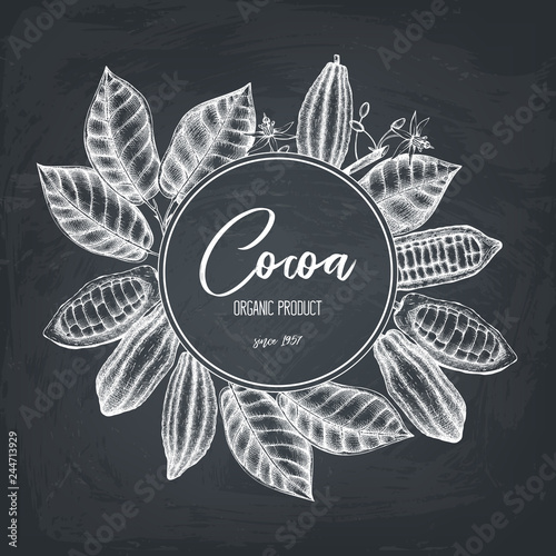Vector Cocoa tree illustration. Vintage background with hand drawn with leaves, flowers, fruits and beans. Botanical pattern. Aromatic and tonic elements sketch.