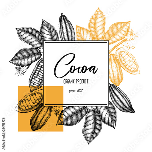 Vector Cocoa tree illustration. Vintage background with hand drawn with leaves, flowers, fruits and beans. Botanical pattern. Aromatic and tonic elements sketch.