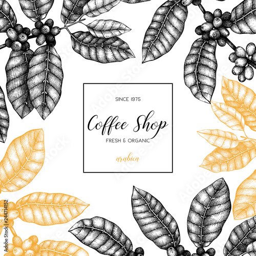 Vector design with ink hand drawn coffee illustrations. Arabica plant with leaves and fruits sketch.  Vintage template for cafe or shop on chalkboard  