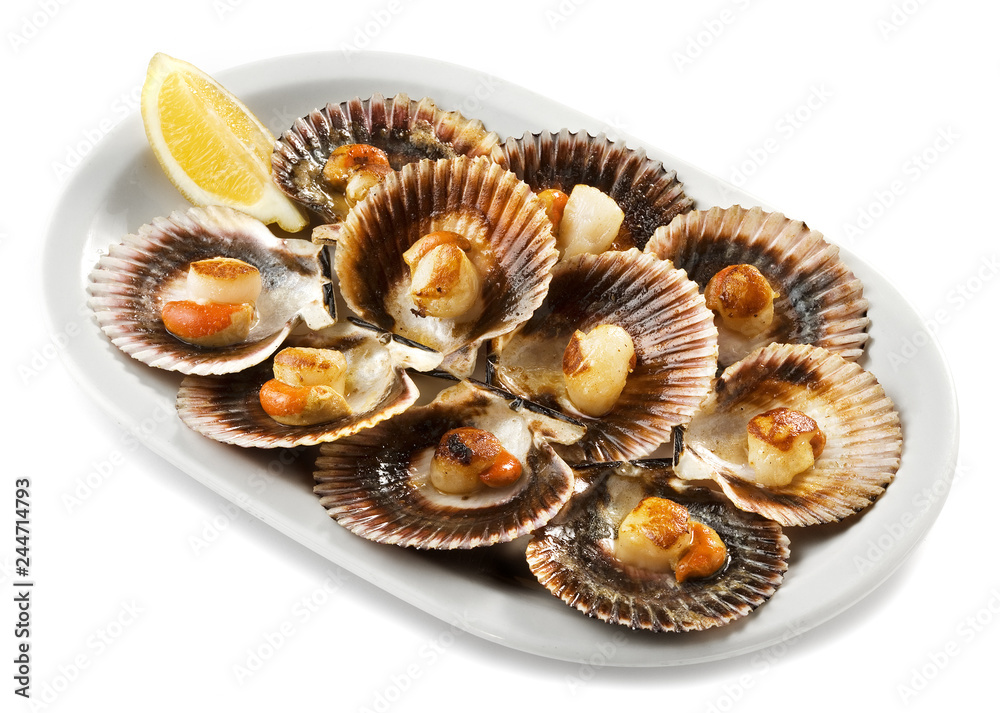 grilled scallops dish grilled scallops dish