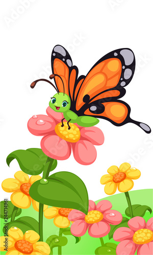 cute butterfly on flower