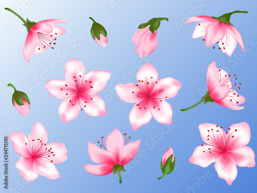 Spring flower tree blossom vector illustration set