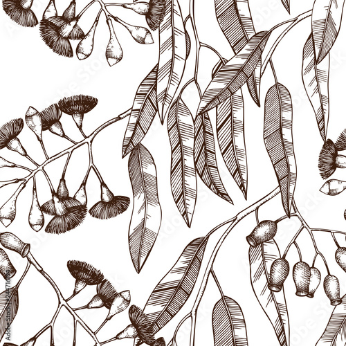 Vector background with hand drawn Eucalyptus drawings. Tasmanian blue gum with leaves, flowers, berries sketches. Wedding botanical illustration. Vintage tree seamless pattern.