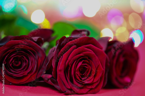 red roses with lights  valentins day