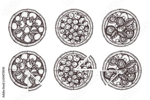 Vector collection of hand drawn Pizza sketches. Vector Italian food drawing. Engraving style Fast food illustrations for cafe or pizzeria menu design. 