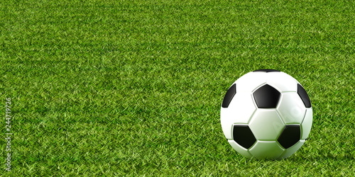 サッカーボールと芝生の3Dイラスト © radiorio