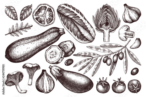 Vector Collection of Hand drawn vegetables, spices, mushroomes sketches. Healthy Food illustration set. Vintage Farm fresh products and ingredients. Autumn harvest drawings.