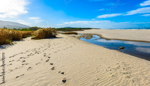 Footsteps tracks on sandy beach in Portugal Atlantic coast.
