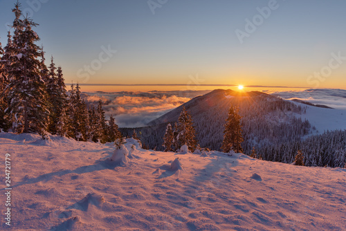 Landscape with the winter sunrise, in the Ukrainian Carpathian Mountains, with fogs, beautiful colors and a sunny moon.