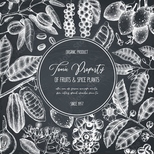 Vector design template with tonic and spicy plants. Hand drawn spices illustrations. Vintage frame with aromatic elements. Perfumery and cosmetics ingredients on chalkboard