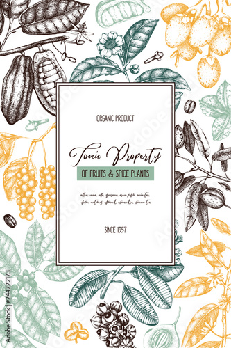 Vector design template with tonic and spicy plants. Hand drawn spices illustrations. Vintage frame with aromatic elements. Perfumery and cosmetics ingredients on chalkboard