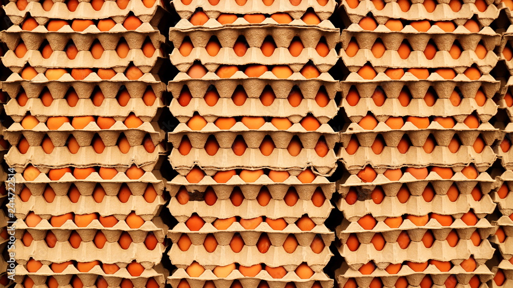 Eggs are arranged in many rows.