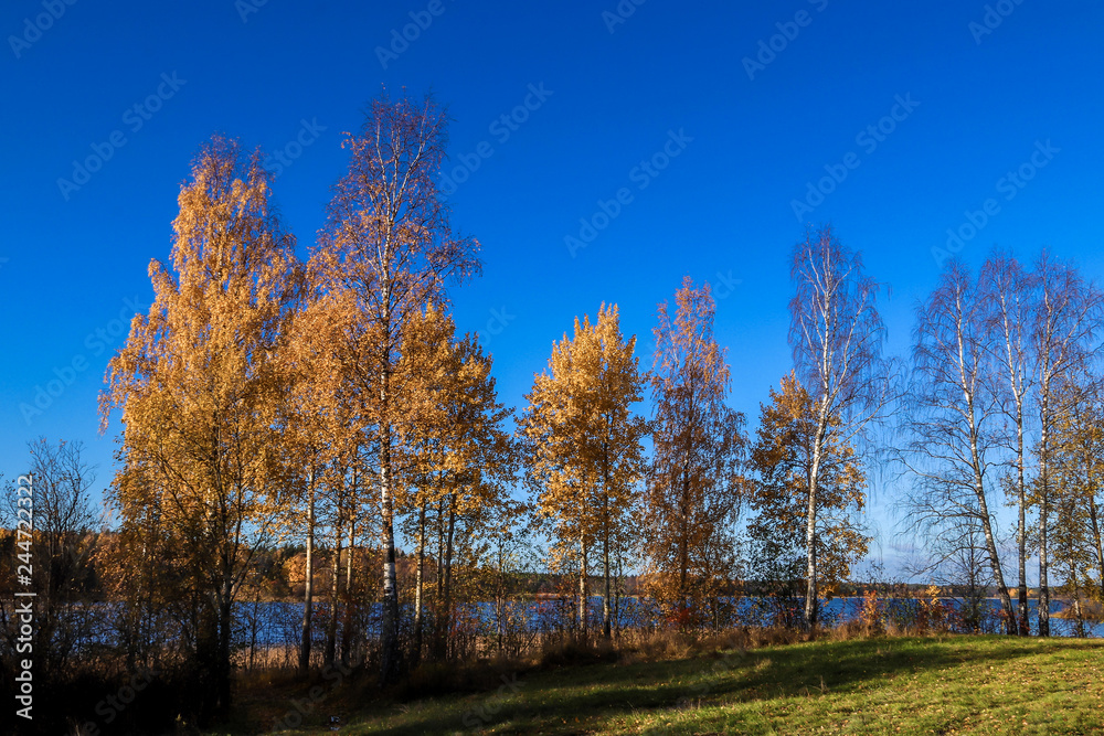 The shore of the lake Smardie. The reflection in the water The shore of the lake Smardie. The reflection in the water