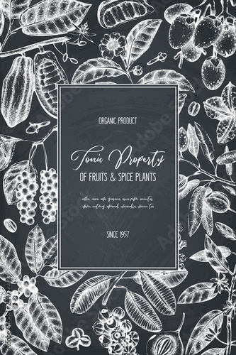 Vector design template with tonic and spicy plants. Hand drawn spices illustrations. Vintage frame with aromatic elements. Perfumery and cosmetics ingredients on chalkboard