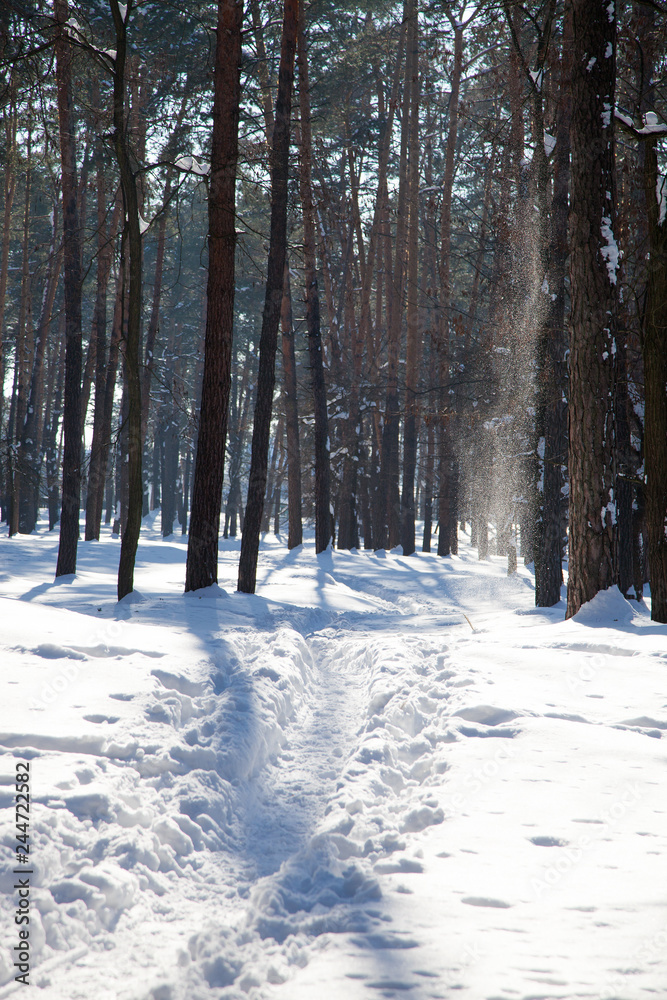 Narrow footpath being trodden in snowy forest
