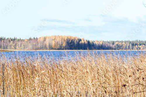 Fototapeta Naklejka Na Ścianę i Meble -   The shore of the lake Smardie. The reflection in the water