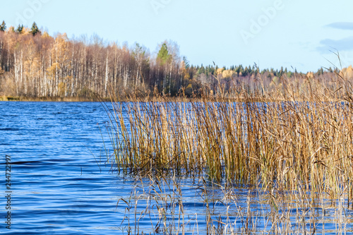  The shore of the lake Smardie. The reflection in the water photo