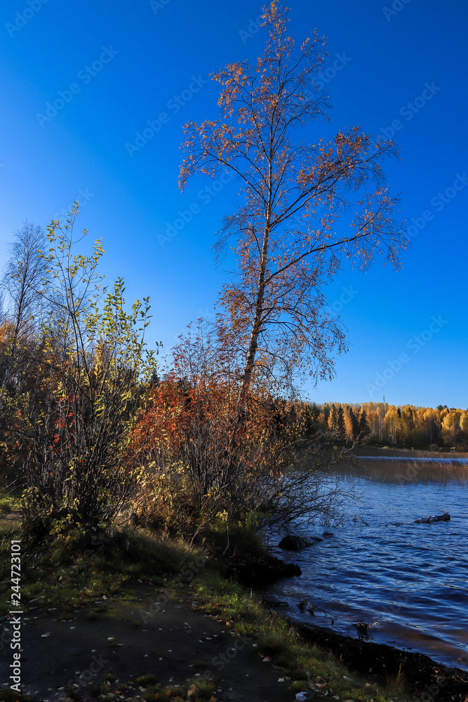 Naklejka premium The shore of the lake Smardie. The reflection in the water