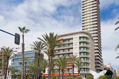 Modern residential block buildings behind traditional local breed of palm trees in the center of Alicante, Spain.  