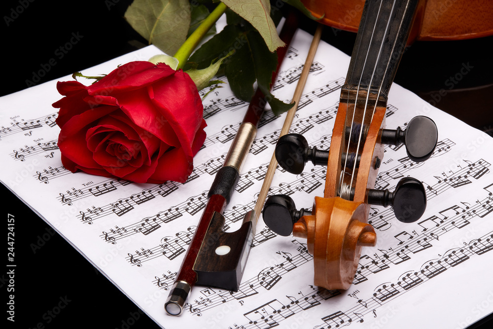 Fototapeta premium Violin, rose and notes.