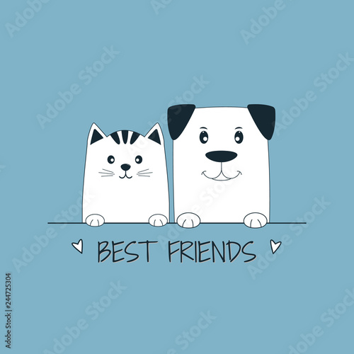 Face cat and dog best friends blue background.