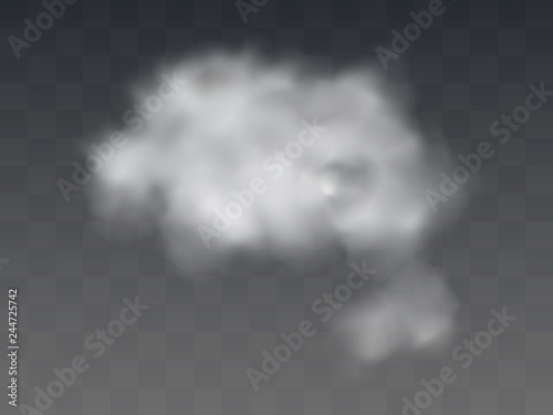 Fog or smoke isolated transparent special effect. White vector cloudiness, mist or smog background. Vector illustration.