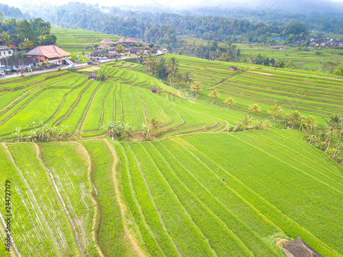 Paddy hill with aerial view at Jatiluweh  Bali  Indonesia.