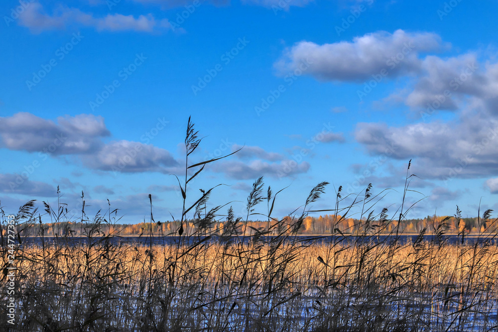 The shore of the lake Smardie. The reflection in the water The shore of the lake Smardie. The reflection in the water