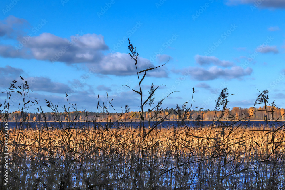 Obraz premium The shore of the lake Smardie. The reflection in the water