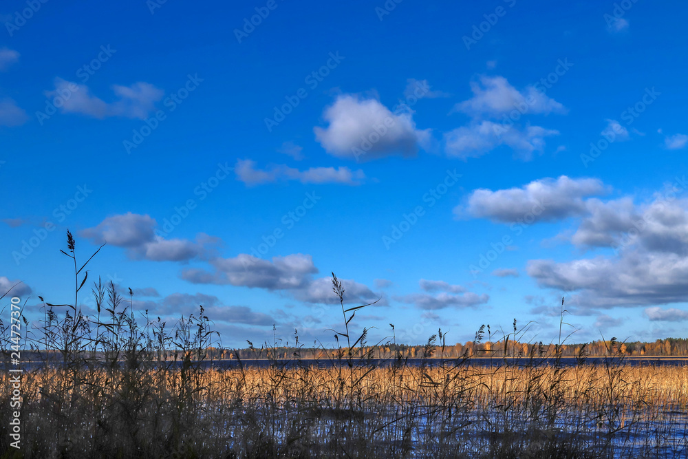 The shore of the lake Smardie. The reflection in the water The shore of the lake Smardie. The reflection in the water
