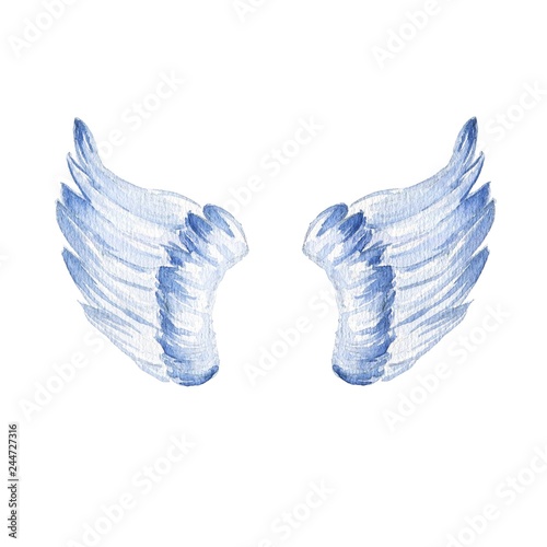 Hand drawn watercolor short wings isolated on white background.