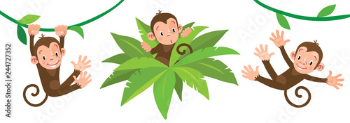 Little funny monkeys on lians. Illustrations set