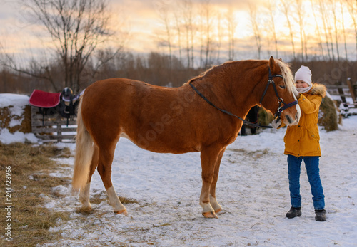 The happy female child is petting the red horse. The joyful caucasian girl  11 years old  and her mare are on a farm in winter.